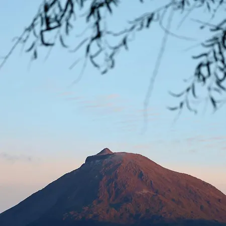 Cantinho Dos Cagarros Lajes do Pico Exterior photo