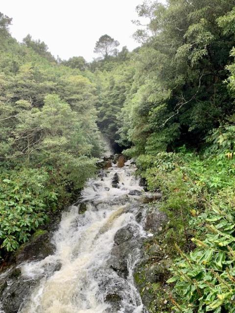 Cantinho Dos Cagarros Lajes do Pico